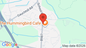 google map image