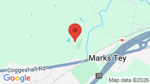 google map image