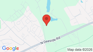 google map image