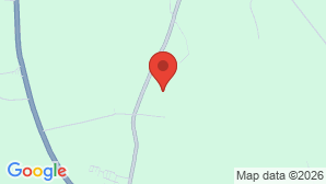google map image