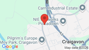 google map image