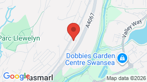 google map image
