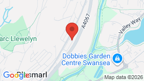 google map image