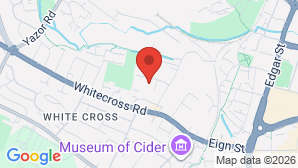 google map image