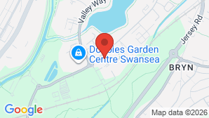 google map image