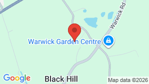google map image