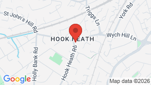 google map image