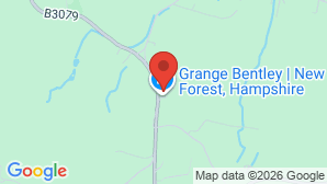 google map image