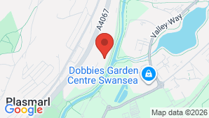 google map image
