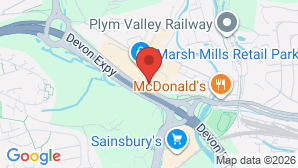 google map image