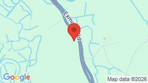 google map image