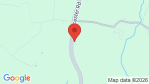 google map image