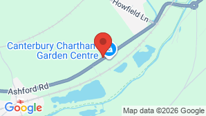 google map image