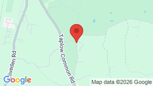 google map image