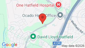 google map image