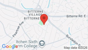 google map image