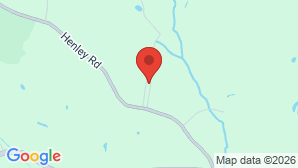 google map image
