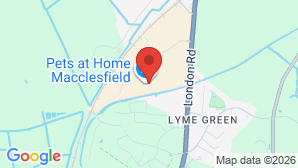google map image