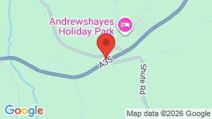 google map image