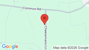 google map image