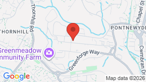google map image