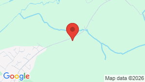 google map image