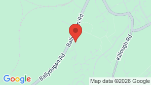 google map image