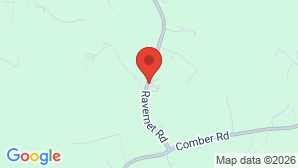 google map image
