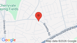 google map image