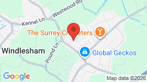 google map image