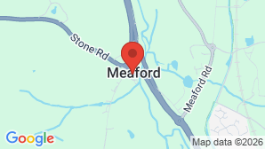 google map image