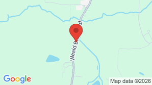 google map image