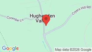 google map image