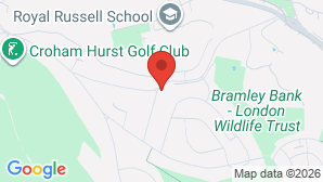 google map image