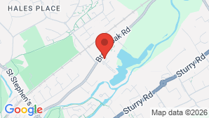 google map image