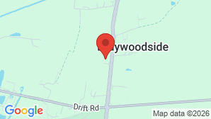 google map image