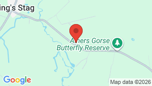 google map image
