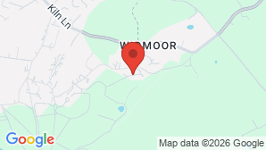 google map image