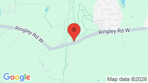 google map image