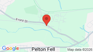 google map image