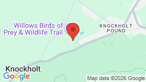 google map image