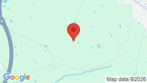 google map image