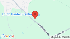 google map image