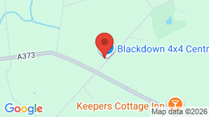 google map image