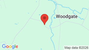 google map image