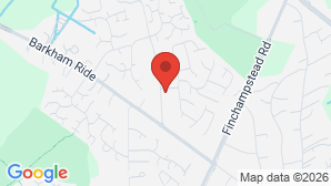 google map image