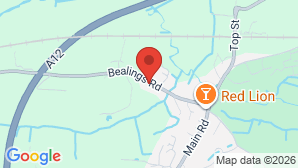 google map image
