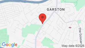 google map image