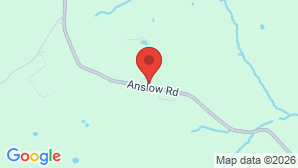 google map image