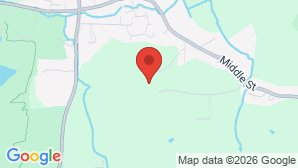 google map image